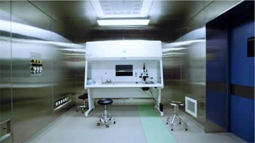 2025年生三胎国家奖励最新发布，生三胎还