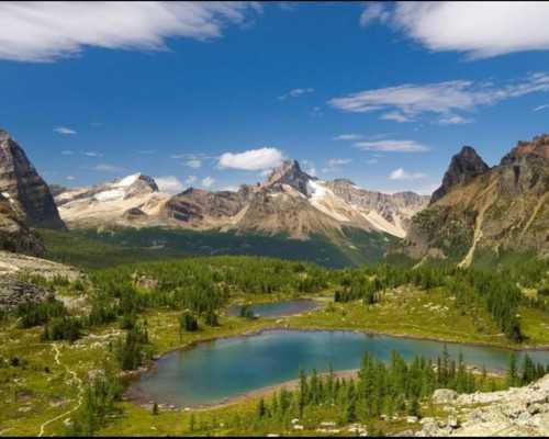 塞浦路斯移民监【租金涨幅高达4%,塞浦路斯持续吸引国际投资!】