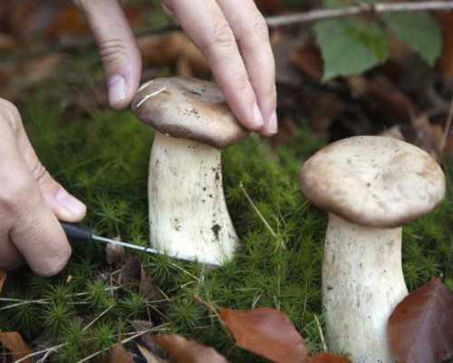 澳洲结婚移民拒签【移民澳大利亚要多少钱？盘点澳洲移民的各项申请费用！】