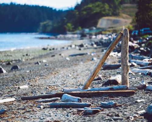 加拿大移民和澳大利亚移民{回顾2020年加拿大各省移民数据出炉，看看大家移民