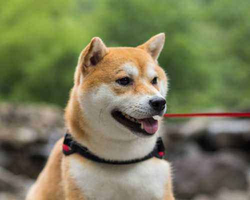 魁北克读完硕士 移民{加拿大魁北克移民排期需要多久}