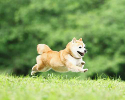 2019年萨省技术移民专业【加拿大萨省农场投资移民，无雅思，最低投资额15万加