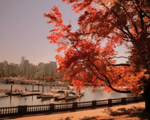 飞出国 萨省技术移民图解{加拿大萨省雇主担保移民丨《麻辣婶聊移民》专栏