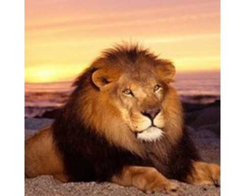 塞浦路斯移民政策【投资移民大火,塞浦路斯是不是个好的选择】