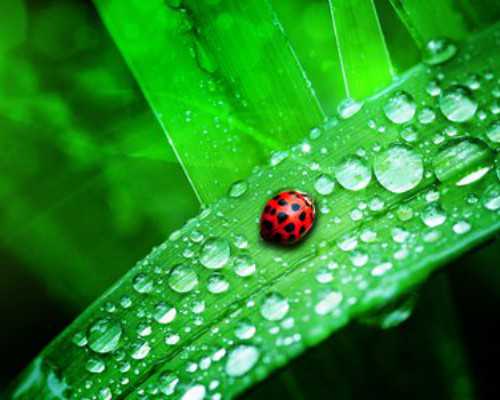 澳大利亚 金融硕士 怎么移民（加拿大和澳大利亚移民政策向技术人才倾斜）