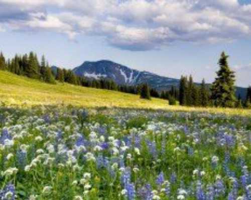 塞浦路斯移民吧(申请塞浦路斯护照前,这三个关键之处一定要知道!)