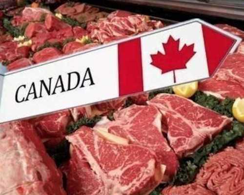 澳大利亚陪读妈妈转移民【澳大利亚留学雅思分数要求多少？未来的标准会越发