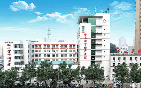 哈尔滨妇产医院试管婴儿医生名单，2025助孕成功率高的大夫参考