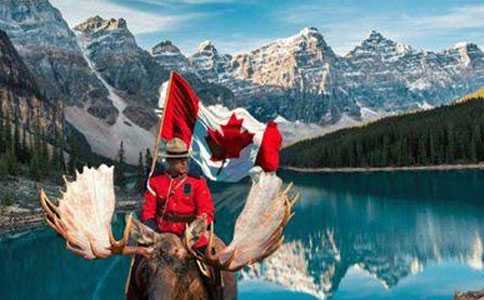 朋友移民加拿大做代购（加拿大常规社会福利盘点）