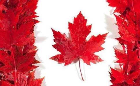 朋友移民加拿大做代购（加拿大常规社会福利盘点）