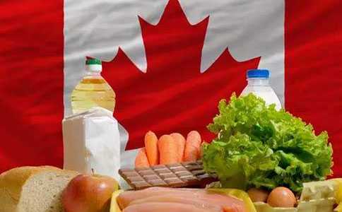 朋友移民加拿大做代购（加拿大常规社会福利盘点）