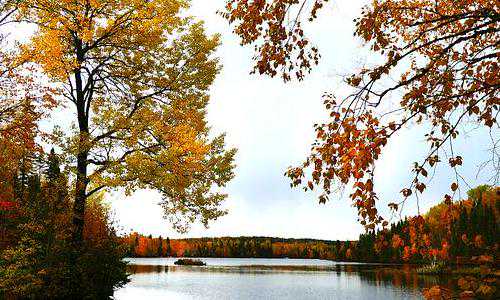 移民香港身份证【香港优才及专才申请人最关心的几点问题汇总,值得收藏!】