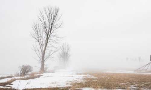 2010年12月美国亲属移民排期【英语流利者不到半数？新移民如何在美国学习英语