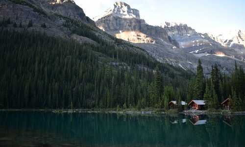 澳洲中??移民中介{澳洲移民专业清单想拿永居可以参考这份打分表！}