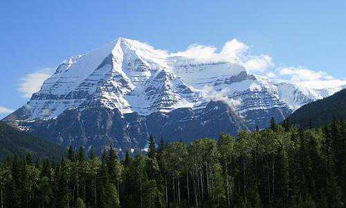 美国配偶移民签证【近五年美国投资移民EB-5项目类型的变化趋势】