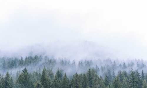 美国亲属移民排期8月（傲娇的格林纳达，可申请美国E2签证长达五年，有的国家