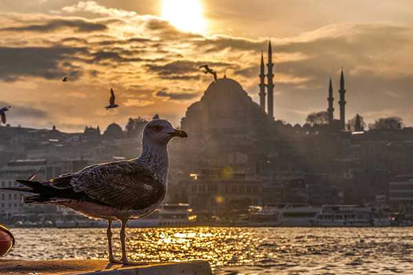 美国移民政策发展趋势{加拿大移民趋紧中国富人转投美国}