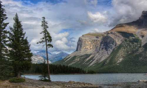 移民美国排期2018年3月{还在问美国有没有移民监？绿卡会不会被半路撤销？看完