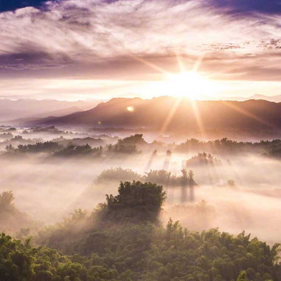 美国绿卡与移民的区别{美国签证计划带来外国投资}