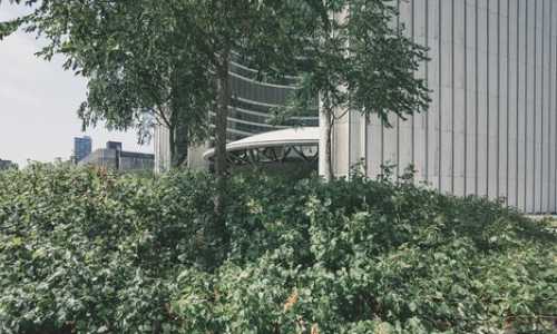 美国绿卡相当于移民吗{[康联移民原创]美国出台移民新政鼓励外国人在美创业投