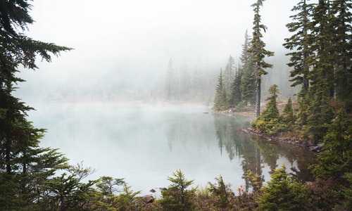 前进澳洲移民【澳洲移民贷款的相关常识】