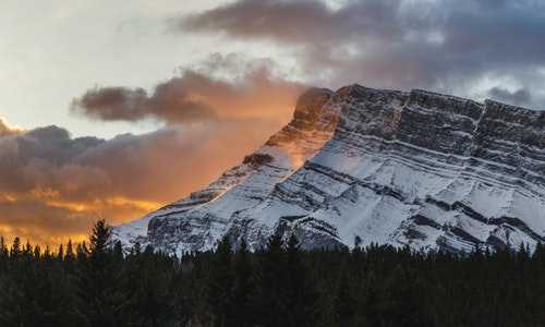 美国亲属移民签证【移民美国哪个城市最好,这些城市最受华人欢迎!】