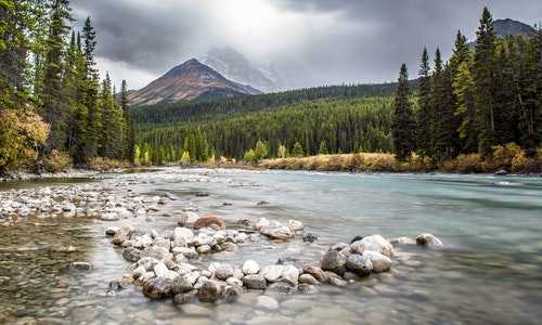 美国开公司可以移民吗（土耳其护照去美国免签吗，具体的护照免签国家名单又