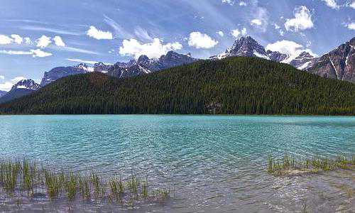 会计专业移民美国【实用Tips：人在国内，如何保住美国绿卡？】