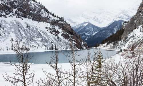 澳大利亚可以移民吗{澳大利亚配偶移民申请费用}