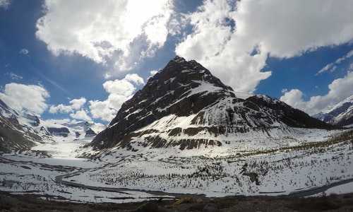 美国亲属移民p4通知（移民须知：赴美生子真的能让孩子拥有美国公民身份吗？