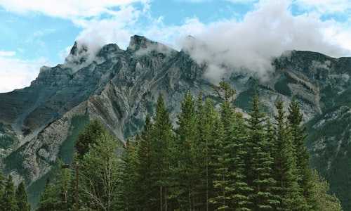 美国新移民汇款（美国EB1A杰出人才移民政策、条件、费用解析，为什么最近火