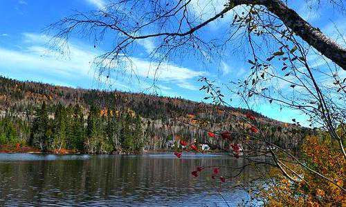 旅转学签移民加拿大{加拿大“ALS冰桶挑战”火热筹款目标提高}