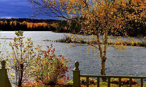 澳大利亚 配偶团聚移民条件【移民澳大利亚须知：澳洲的保险医疗】