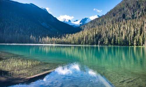 加拿大曼省移民总费用（技术移民加拿大费用）