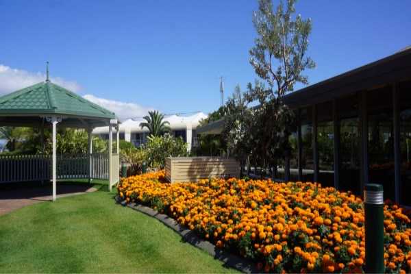 美国移民面试被拒原因【收藏帖!美国亲属团聚移民常见问题及解答】