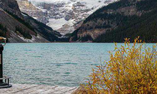 新西兰增加移民【新西兰创业移民被批是骗局,是真是假看了便知!】