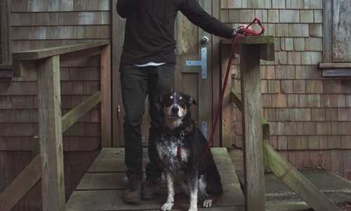 美国防止移民{美国留学移民难度}