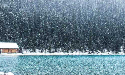 移民网址美国{美国拉美移民的崛起}