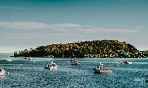 澳大利亚是一个移民国家(移民澳大利亚难吗,三分之一申请被拒,近万名申请