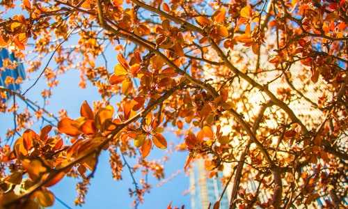 香港移民子女年龄限制{香港永居和大陆身份冲突吗,要放弃内地户口吗?}