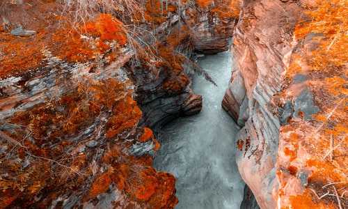 加拿大移民监主申请人{加拿大新政年底前实施英文不达标不得入籍}