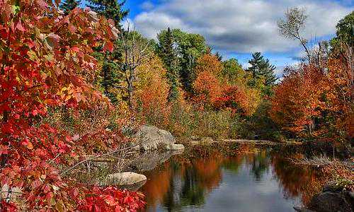 美国工作移民的条件是什么意思【2020年移民选欧洲国家还是北美国家？这是个