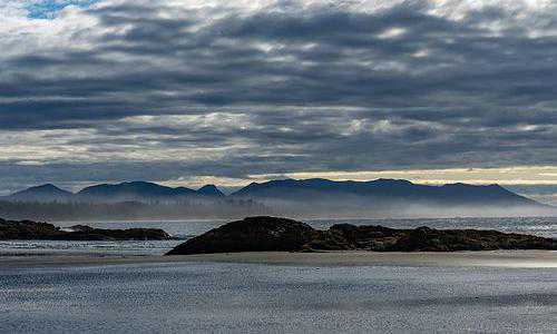 为什么海地难民可以移民美国(移民美国好不好,美国高校教育水平被移民一致
