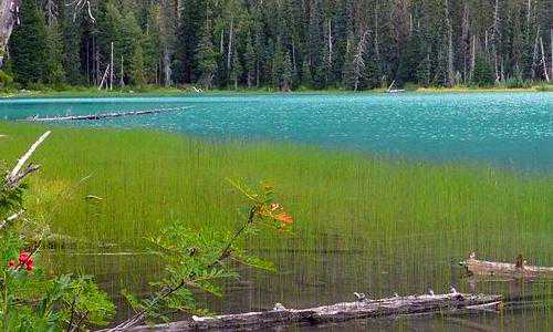 移民到美国很惨{2021年8月美国移民排期资讯}