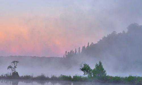 美国绿卡亲属移民排期表【美国数百所大学取消入学考试严重冲击亚裔学生】