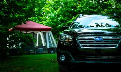 美国移民 人口（美国工作签证有几种？H,L,O,P,Q）