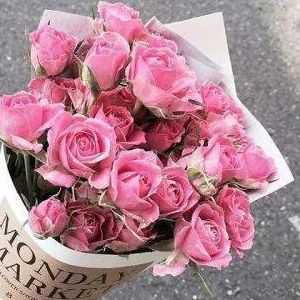 移民日本vs加拿大（加拿大新移民手册：以多伦多为例，超细讲解落地常识）