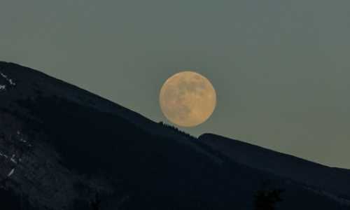 澳洲移民配偶加分拒签案例（​澳洲技术重要通知！南澳州担保开放啦！）