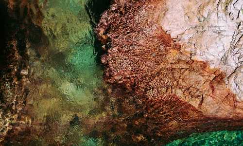 技术移民美国多少钱【美国移民丨相比于钱,我们更欢迎中国的人才】