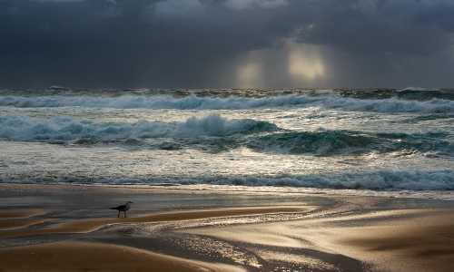 博士可以移民美国吗{移民美国，持有一张绿卡到底有多好}